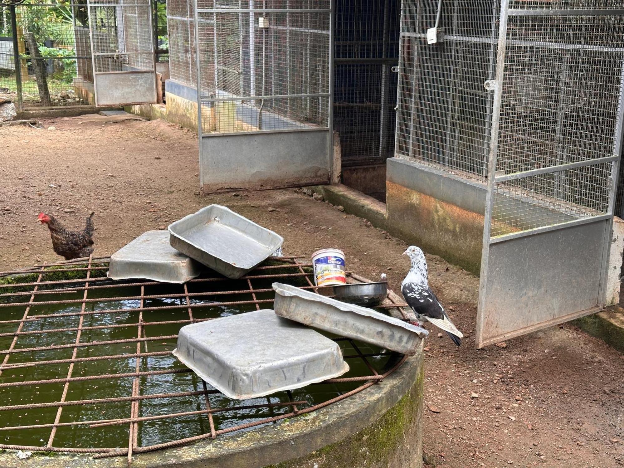 Kattil Farm Stay Varkala Thiruvananthapuram Dış mekan fotoğraf