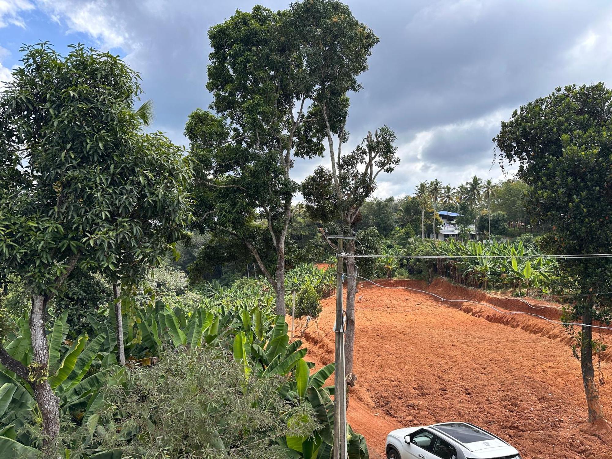 Kattil Farm Stay Varkala Thiruvananthapuram Dış mekan fotoğraf