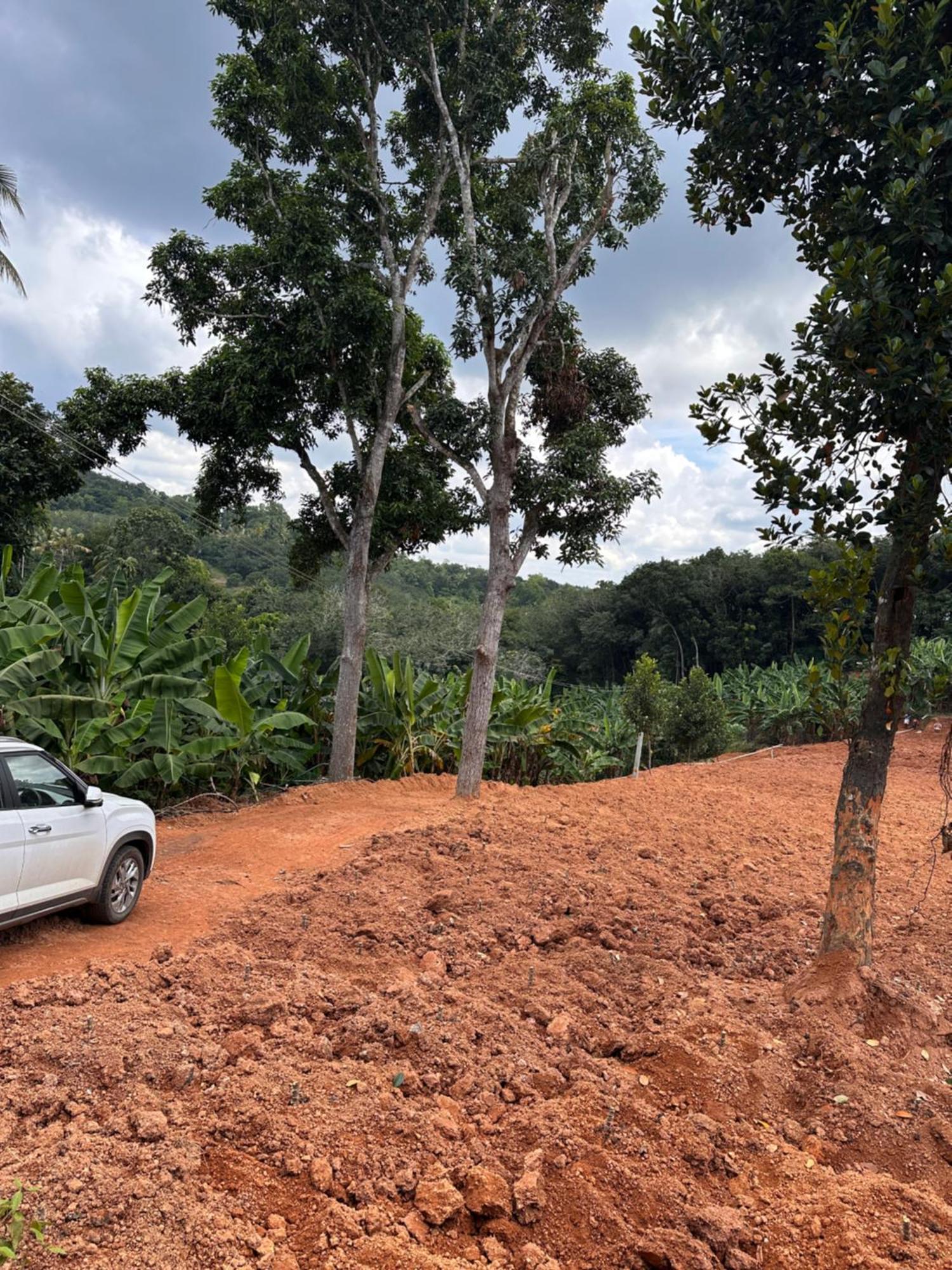 Kattil Farm Stay Varkala Thiruvananthapuram Dış mekan fotoğraf
